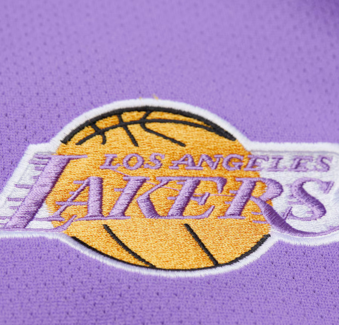 Men's Black Los Angeles Lakers Mesh Nylon Full-Zip Jacket