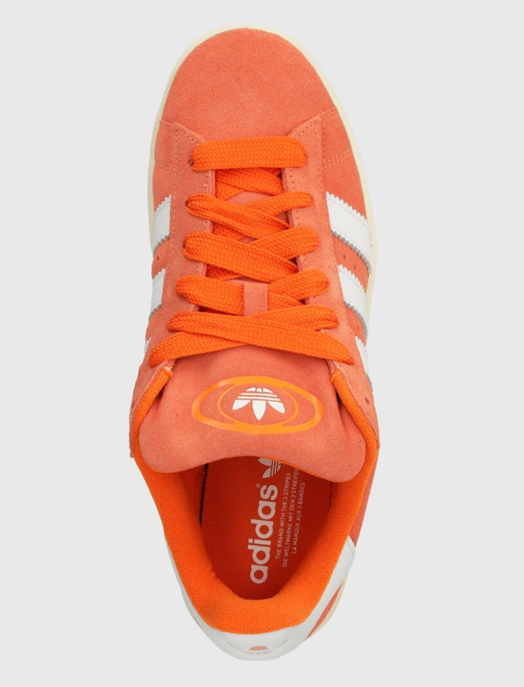 Campus 00 Amber Tint