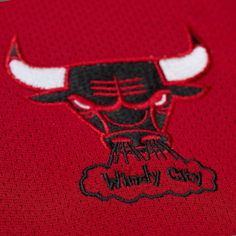 Men's Black Chicago Bulls Mesh Nylon Full-Zip Jacket